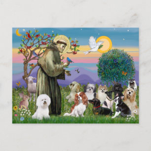 Saint Francis with 10 Dogs Postcard