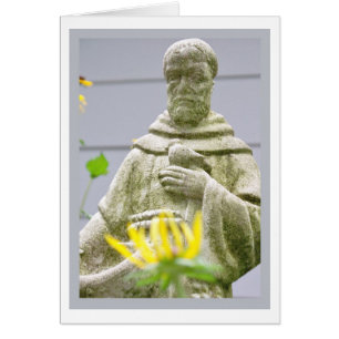 Saint François d'Assise Bénédiction animale