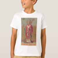 Saint Patrick Apostle of Ireland