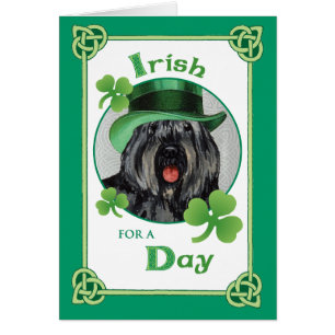 Saint Patrick's Day Bouvier