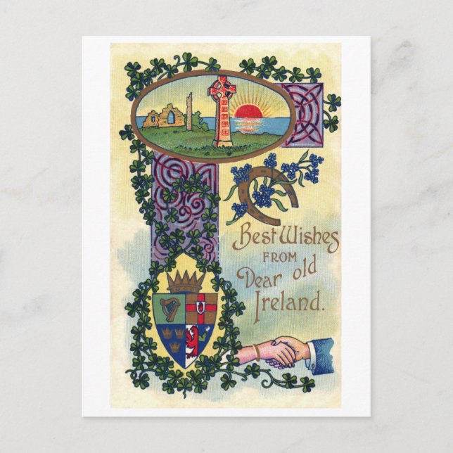Saint Patrick's Day, Shamrock Postcard (Front)