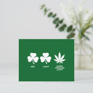Saint Patricks Funny Party for Guys Postcard
