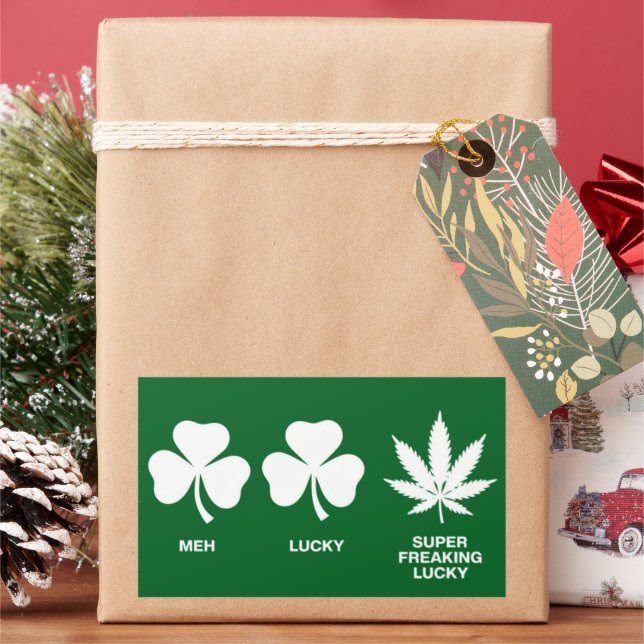Saint Patricks Funny Party for Guys  Sticker (Holiday)