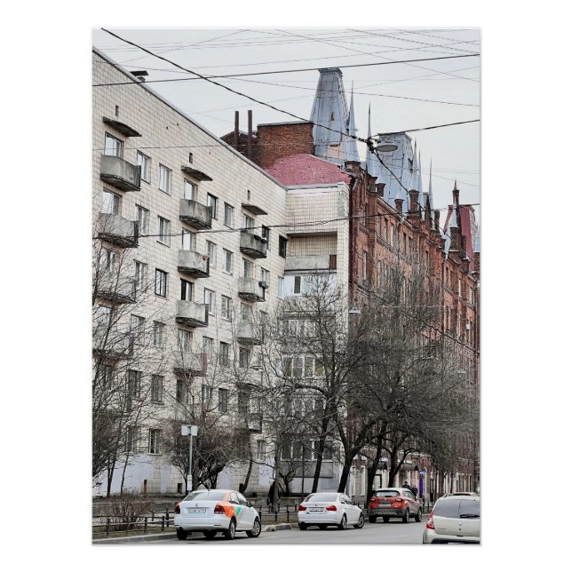 Saint-Petersburg alive - 1 Poster (Front)