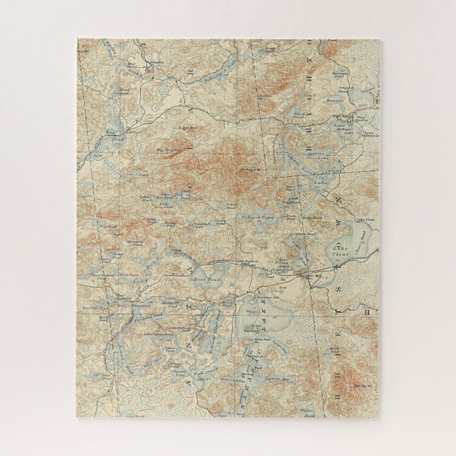 Saint Regis Canoe Area Details in the Adirondacks Jigsaw Puzzle (Vertical)