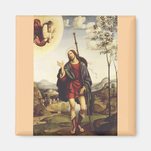 Saint Roch by Francesco Francia Magnet