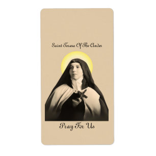 SAINT TERESA OF THE ANDES