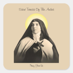SAINT TERESA OF THE ANDES SQUARE STICKER