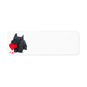 Saint-Valentin Terrier Écossais