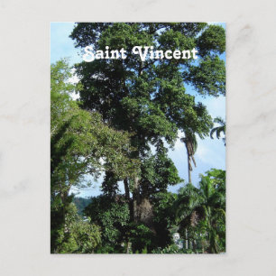 Saint Vincent Island Postcard