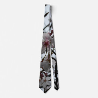 Sakura 2023 tie
