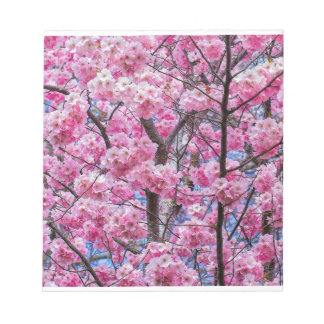 Sakura Blossom Serenity Notepad