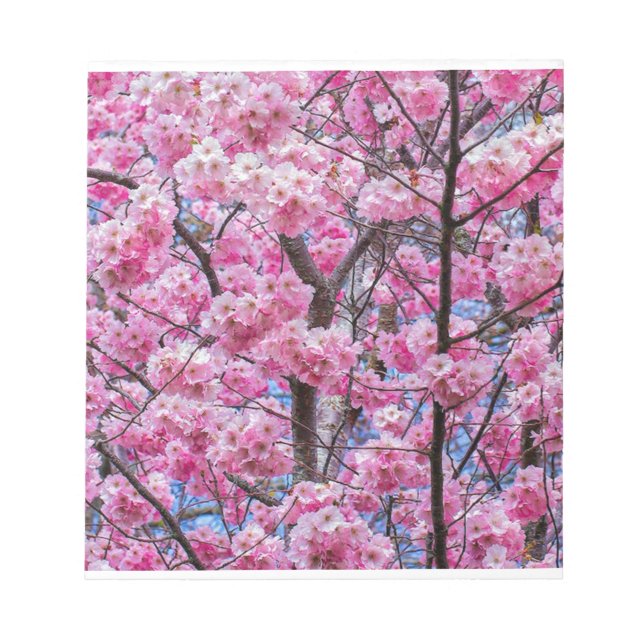 Sakura Blossom Serenity Notepad (Front)