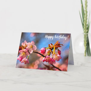 Sakura Buds Are Ready To Open And Bloom In Spring Card