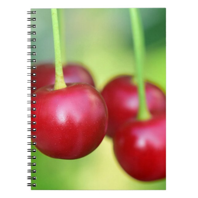Sakura Cherries Delicious Vegan Vegetarian Fruits Notebook (Front)