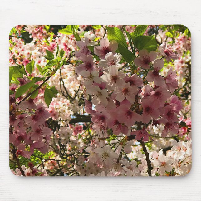 Sakura Cherry Blossom #3 Mouse Pad (Front)