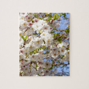 Sakura Cherry Blossom Japan Kyoto Jigsaw Puzzle