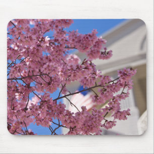 Sakura Cherry Blossoms Americana Mouse Pad
