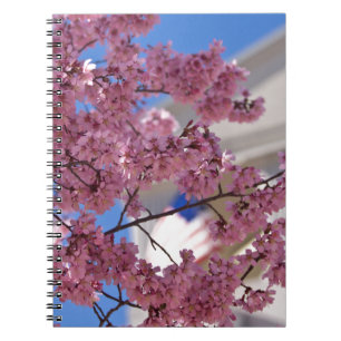 Sakura Cherry Blossoms Americana Notebook