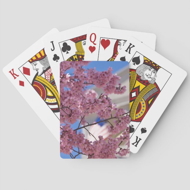 Sakura Cherry Blossoms Americana Playing Cards (Back)