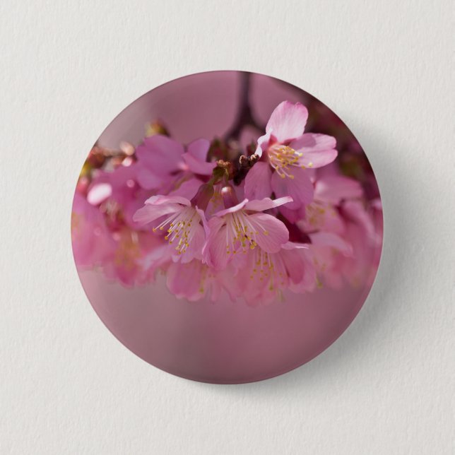 Sakura Cherry Blossoms Delicate Pink Bouquet 2 Inch Round Button (Front)