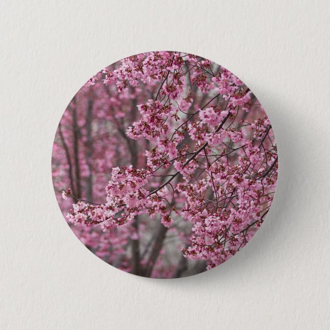 Sakura Cherry Blossoms Flowing Pink 2 Inch Round Button (Front)