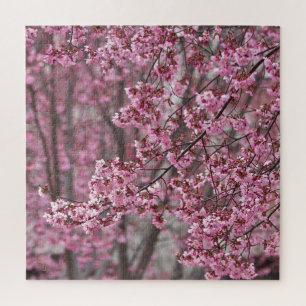 Sakura Cherry Blossoms Flowing Pink Jigsaw Puzzle