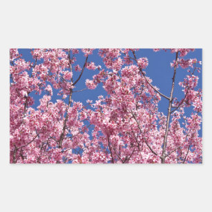 Sakura Cherry Blossoms Into The Blue Sticker