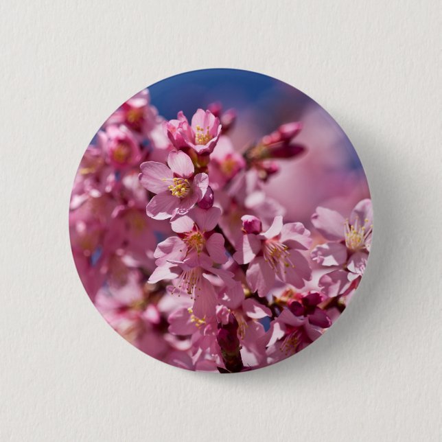 Sakura Cherry Blossoms Kissed by Sunlight 2 Inch Round Button (Front)