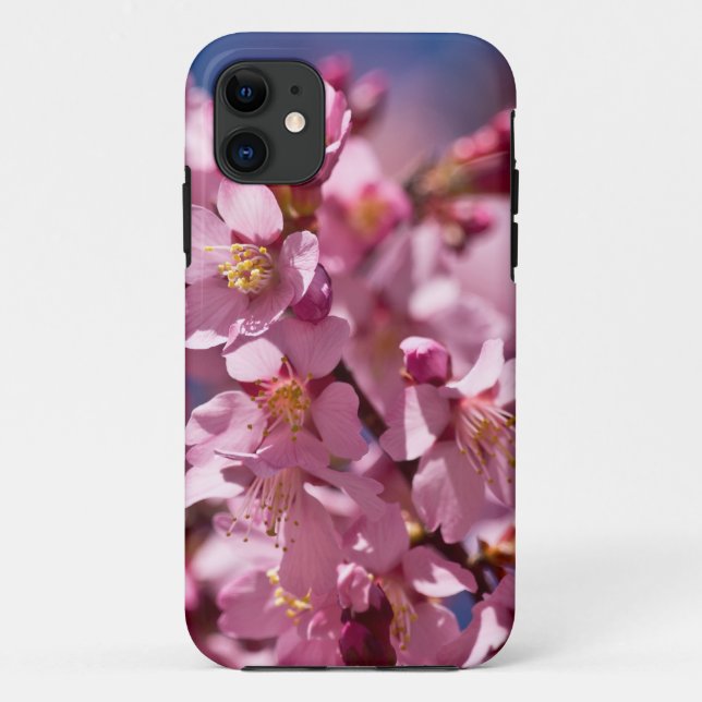 Sakura Cherry Blossoms Kissed by Sunlight Case-Mate iPhone Case (Back)