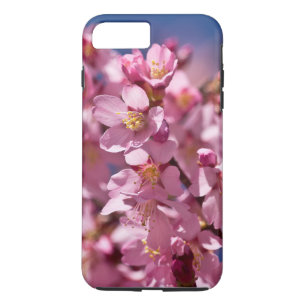 Sakura Cherry Blossoms Kissed by Sunlight Case-Mate iPhone Case