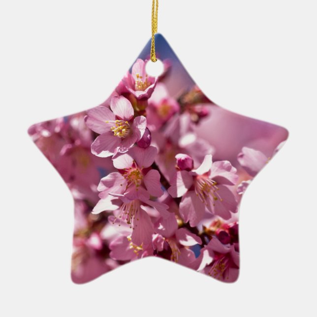 Sakura Cherry Blossoms Kissed by Sunlight Ceramic Ornament (Front)