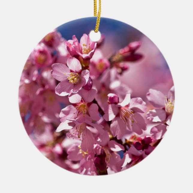 Sakura Cherry Blossoms Kissed by Sunlight Ceramic Ornament (Front)