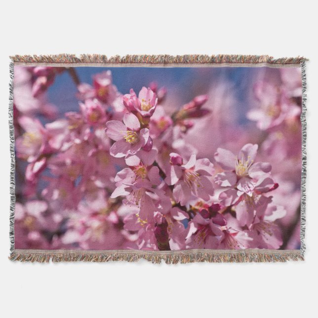Sakura Cherry Blossoms Kissed By Sunlight Throw Blanket (Front)