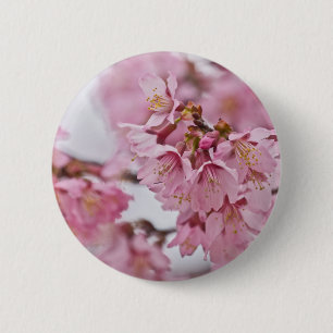 Sakura Cherry Blossoms Pale Pink 2 Inch Round Button