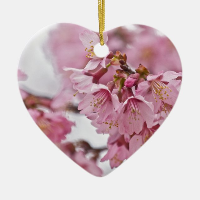 Sakura Cherry Blossoms Pale Pink Ceramic Ornament (Front)
