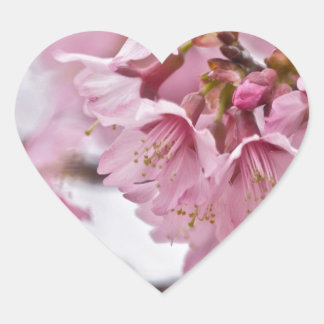 Sakura Cherry Blossoms Pale Pink Heart Sticker