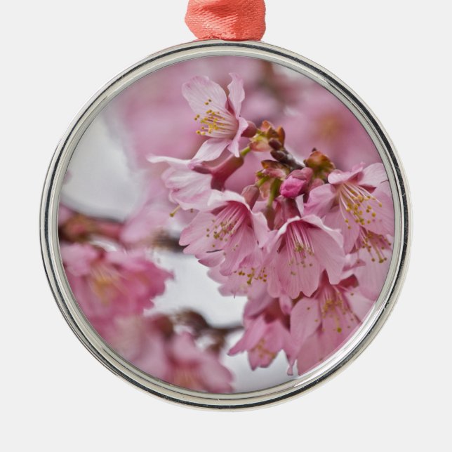 Sakura Cherry Blossoms Pale Pink Metal Ornament (Front)