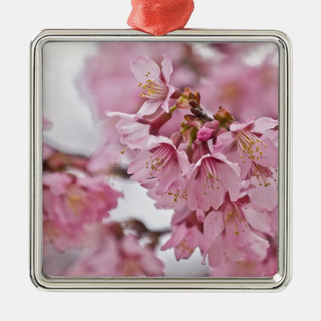 Sakura Cherry Blossoms Pale Pink Metal Ornament (Front)