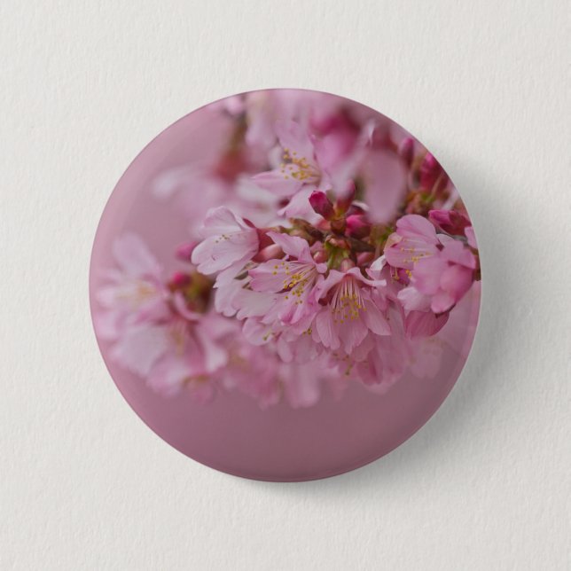 Sakura Cherry Blossoms Pale Pink Reflections 2 Inch Round Button (Front)