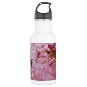 Sakura Cherry Blossoms Pale Pink Reflections 532 Ml Water Bottle