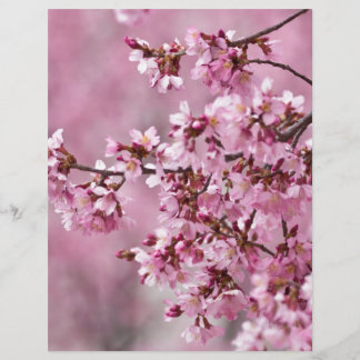 Sakura Cherry Blossoms Pastel Pink Layers