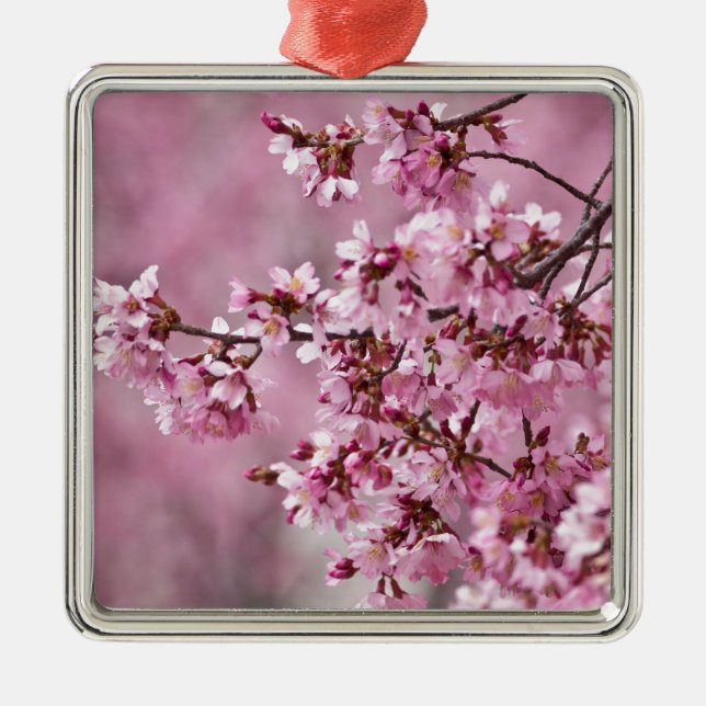 Sakura Cherry Blossoms Pastel Pink Layers Metal Ornament (Front)