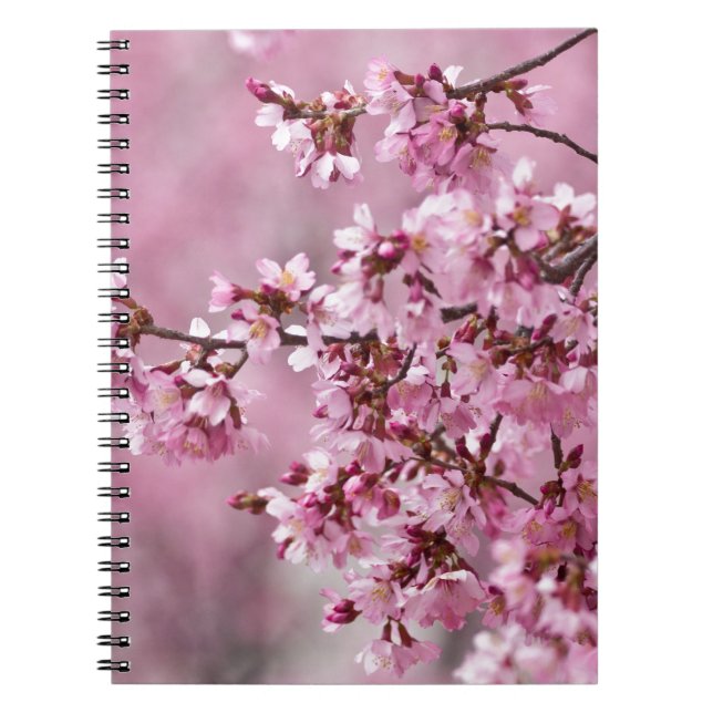 Sakura Cherry Blossoms Pastel Pink Layers Notebook (Front)
