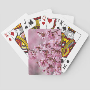 Sakura Cherry Blossoms Pastel Pink Layers Playing Cards