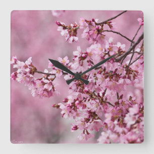 Sakura Cherry Blossoms Pastel Pink Layers Square Wall Clock