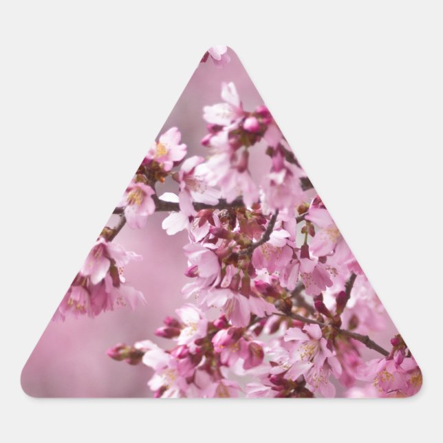 Sakura Cherry Blossoms Pastel Pink Layers Triangle Sticker (Front)