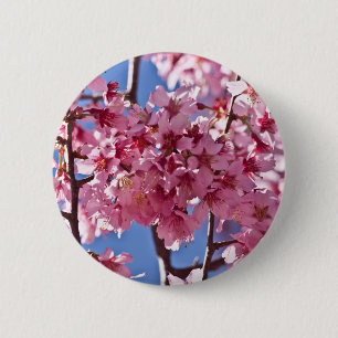 Sakura Cherry Blossoms Red Stars 2 Inch Round Button