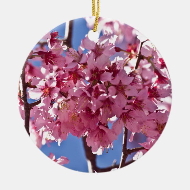Sakura Cherry Blossoms Red Stars Ceramic Ornament (Front)