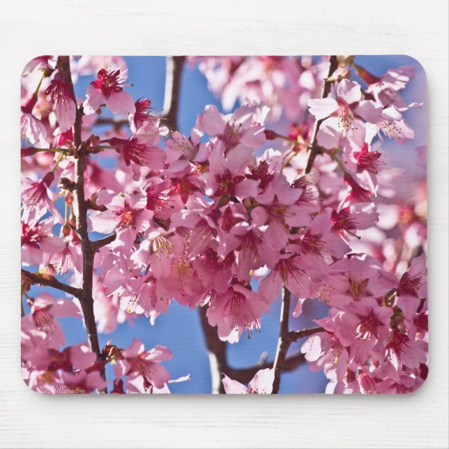 Sakura Cherry Blossoms Red Stars Mouse Pad (Front)